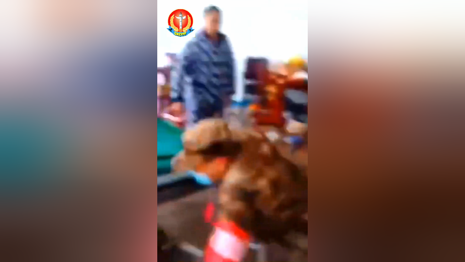 私闯民宅抄家伙 这才是真正的抹黑 -1.png 私闯民宅抄家伙 这才是真正的抹黑 -1.png