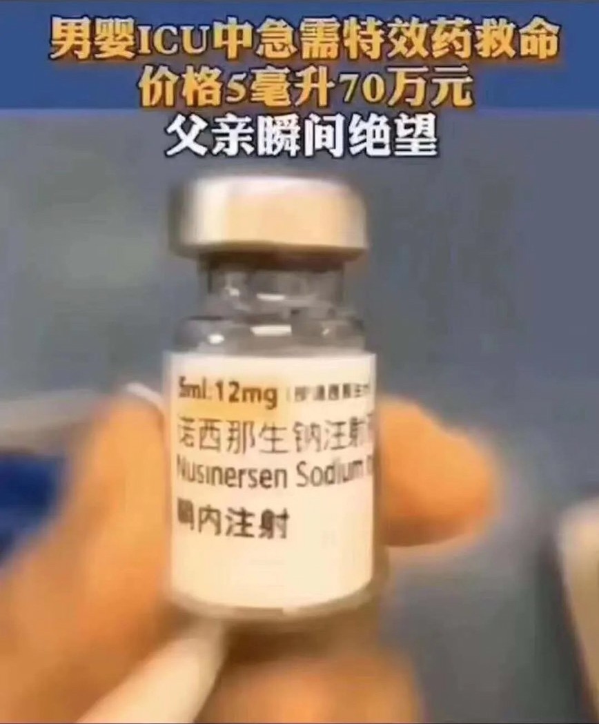 S__2203664.jpg S__2203664.jpg