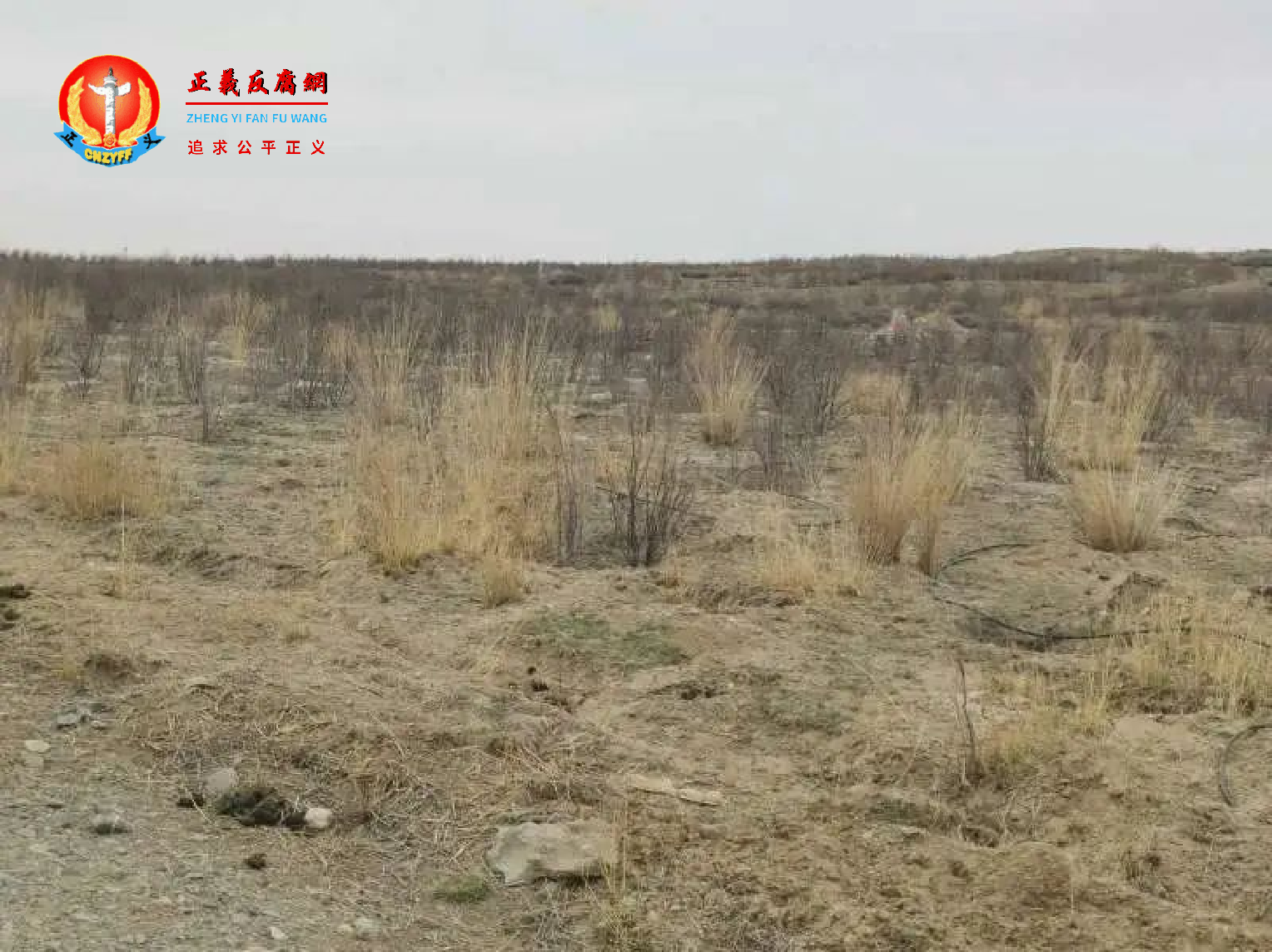 奎苏台土地现状.png 奎苏台土地现状.png